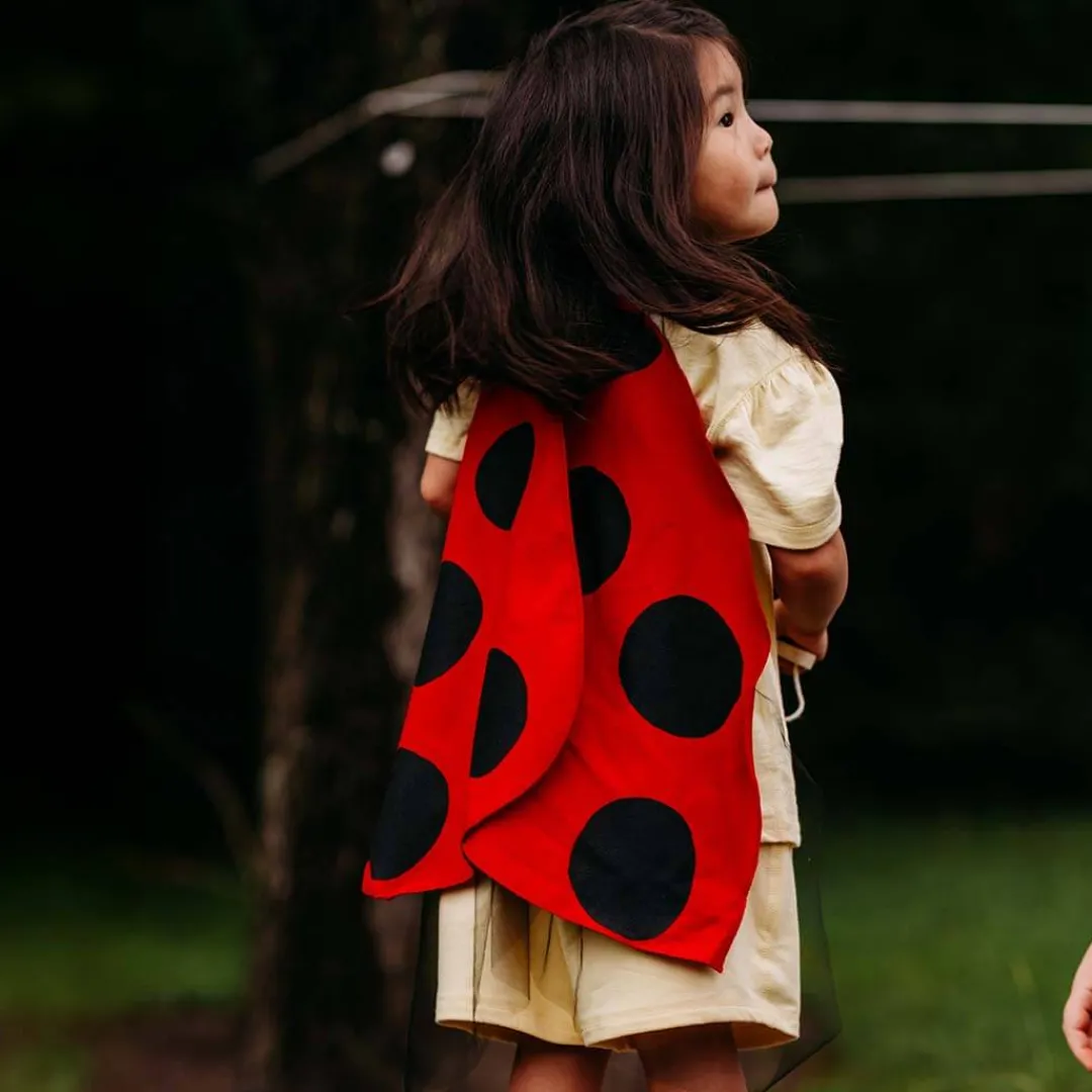 Jack Be Nimble 4 Years|3 Years < Ladybug Wings Costume