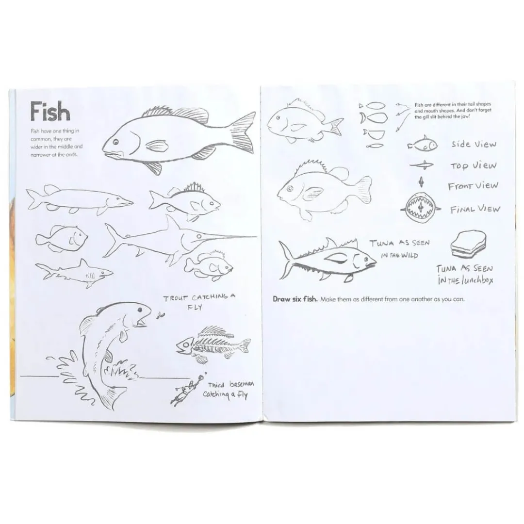 eeboo Books|7+ Years < Learn To Draw Animals Art Book
