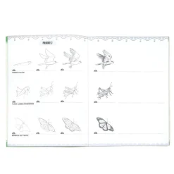 eeBoo Books|5 Years < Learn to Draw Bugs, Birds, & Butterflies