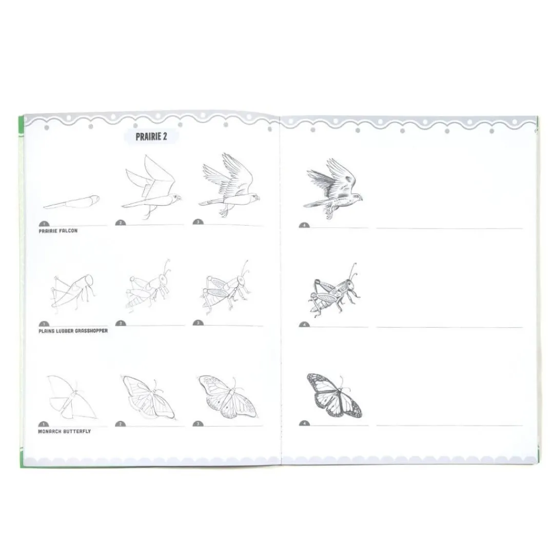 eeBoo Books|5 Years < Learn to Draw Bugs, Birds, & Butterflies