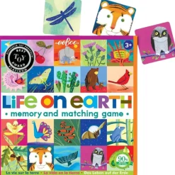 eeBoo Games|4 Years < Life On Earth Memory Game