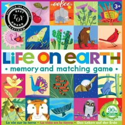 eeBoo Games|4 Years < Life On Earth Memory Game