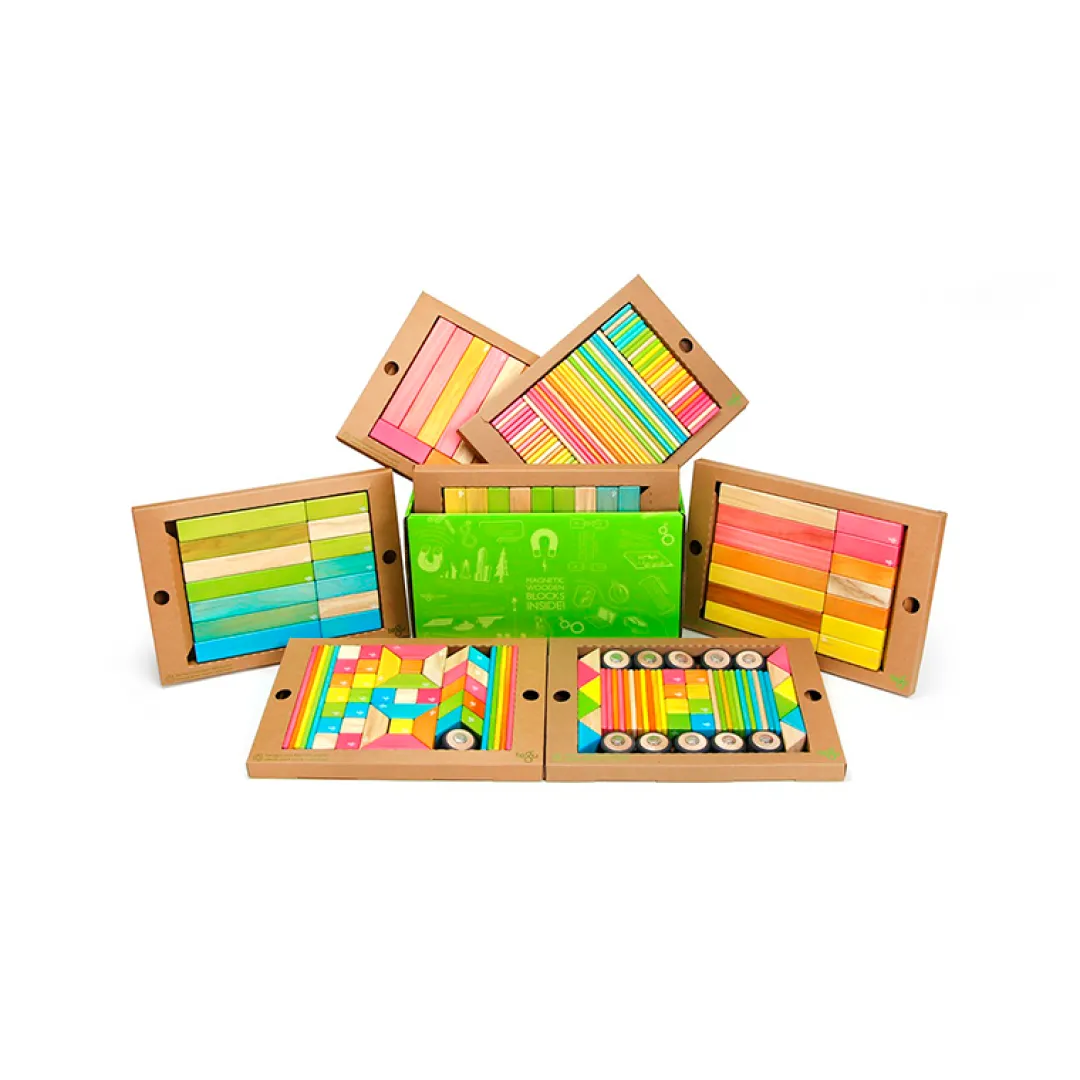 Tegu 12-24 Months|Wooden Toys < Magnetic Wooden Blocks Classroom Kit - 240 Pieces