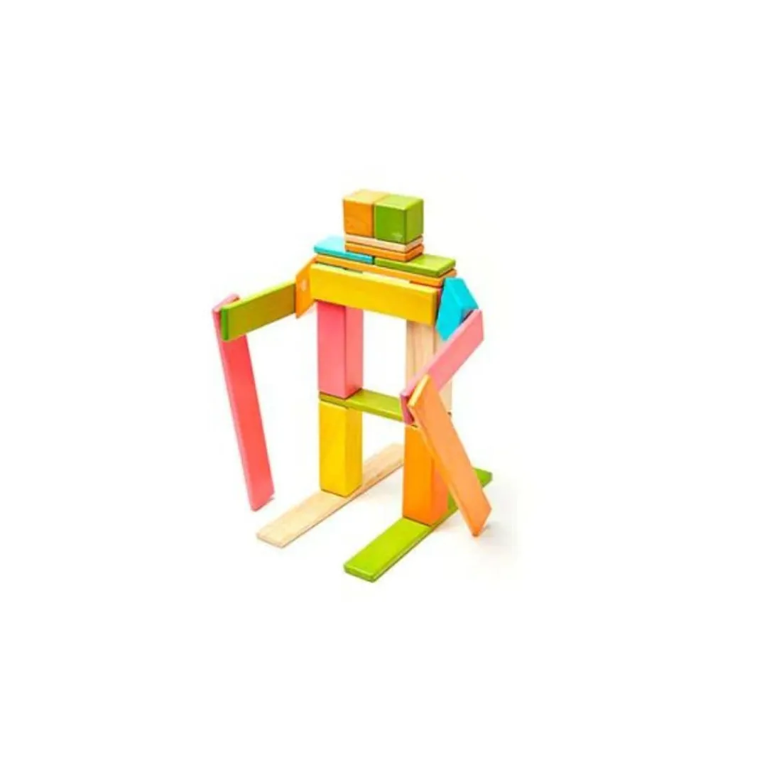 Tegu 12-24 Months|Wooden Toys < Magnetic Wooden Blocks - 24 Piece Set Tints