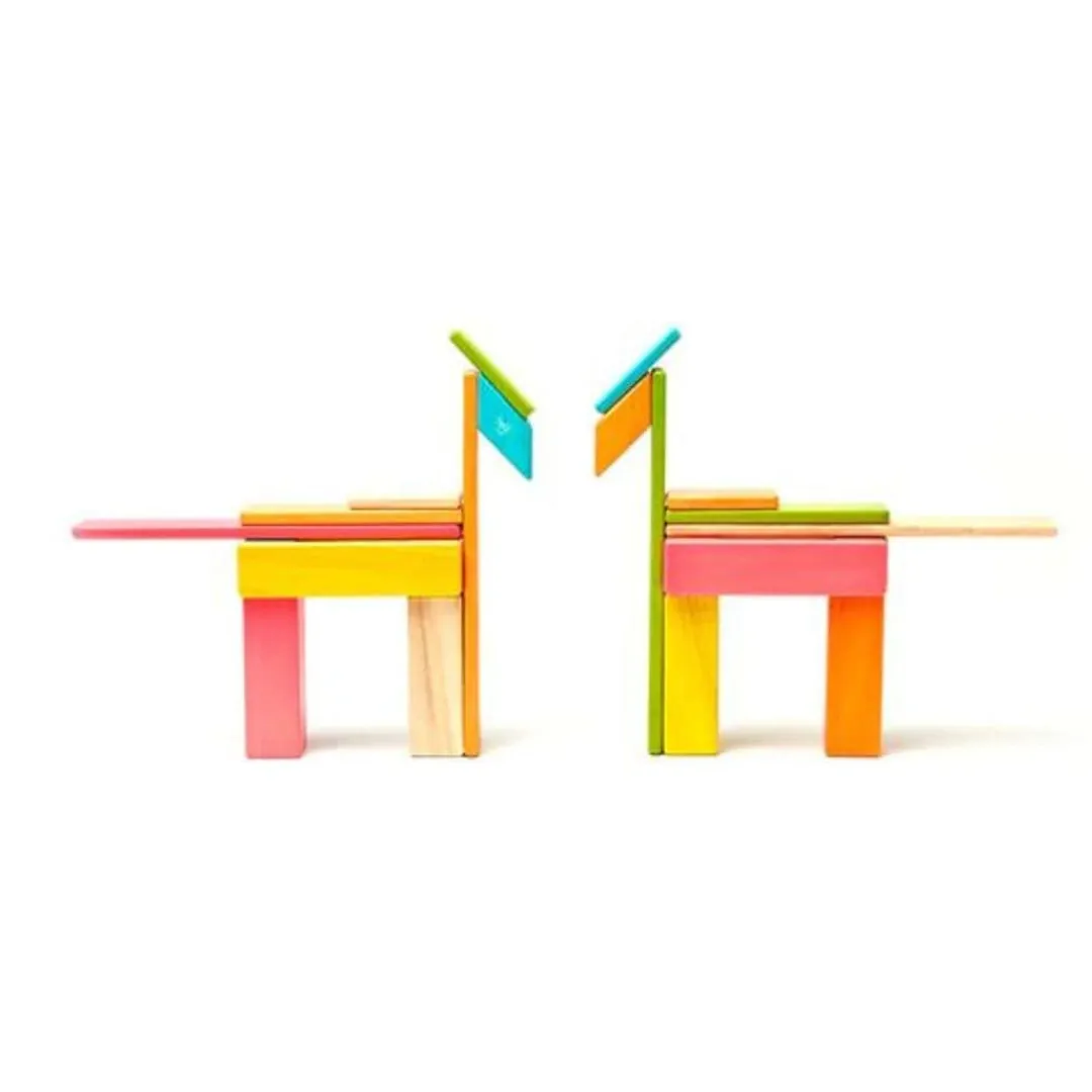 Tegu 12-24 Months|Wooden Toys < Magnetic Wooden Blocks - 24 Piece Set Tints