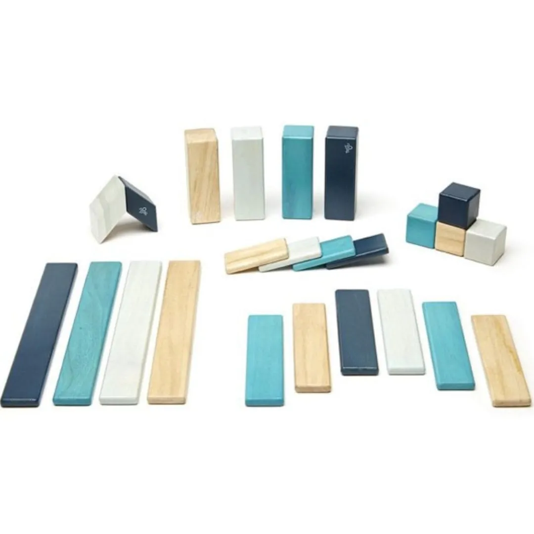 Tegu 12-24 Months|Wooden Toys < Magnetic Wooden Blocks - 24 Piece Set Blues