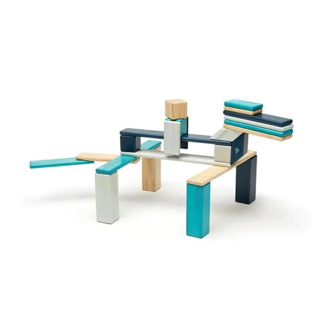 Tegu 12-24 Months|Wooden Toys < Magnetic Wooden Blocks - 24 Piece Set Blues