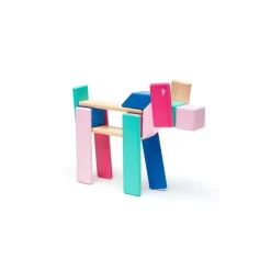 Tegu 2 Years|4 Years < Magnetic Wooden Blocks - 24 Piece Set Blossom