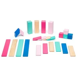 Tegu 2 Years|4 Years < Magnetic Wooden Blocks - 24 Piece Set Blossom