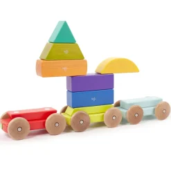 Tegu 12-24 Months|4 Years < Magnetic Wooden Shape Train