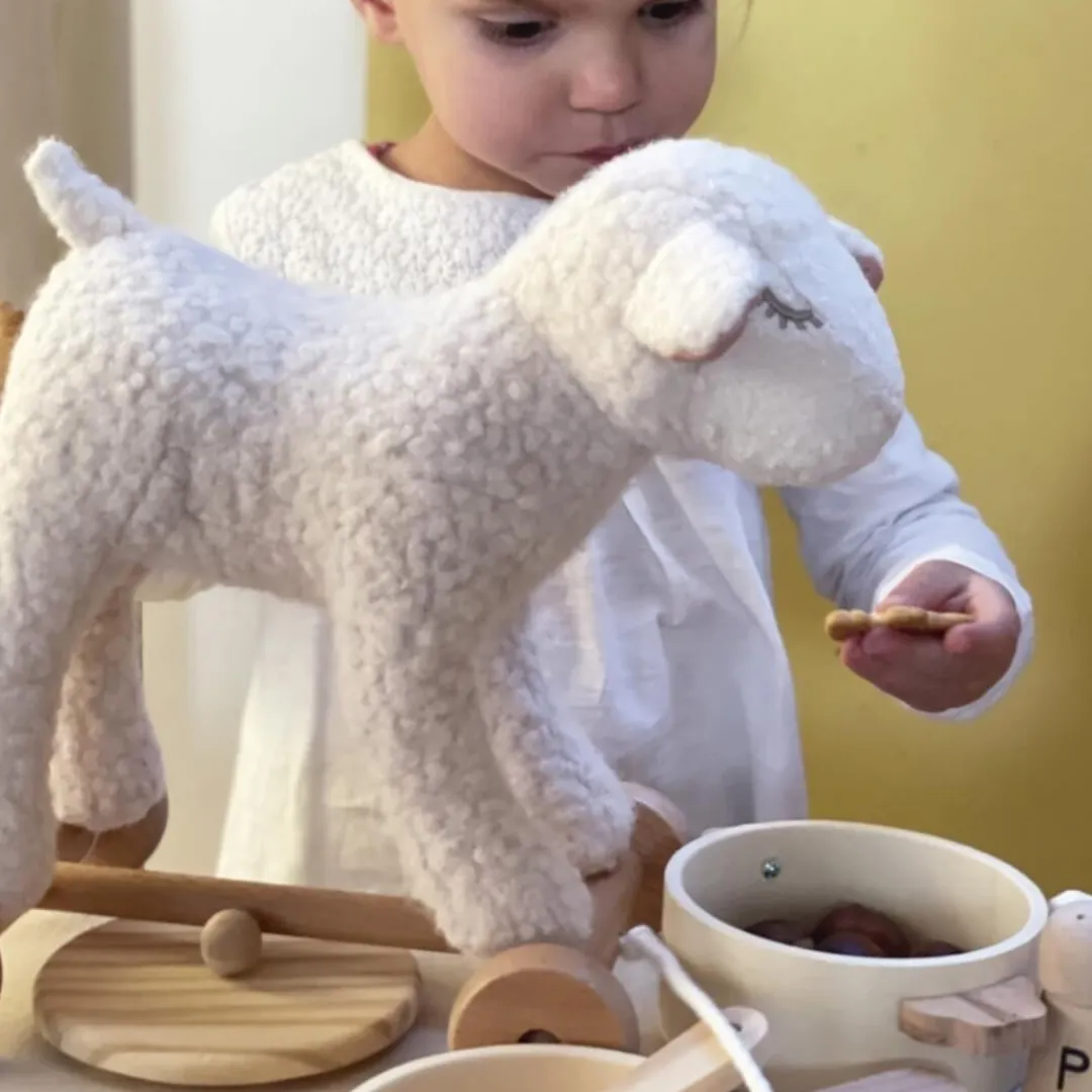 Egmont 2 Years|4 Years < Mary the Lamb Pull-Along Toy