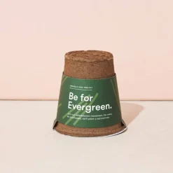 Modern Sprout Outdoor Toys|4 Years < One-For One Tree Kit