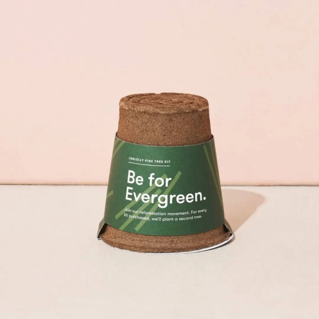 Modern Sprout Outdoor Toys|4 Years < One-For One Tree Kit