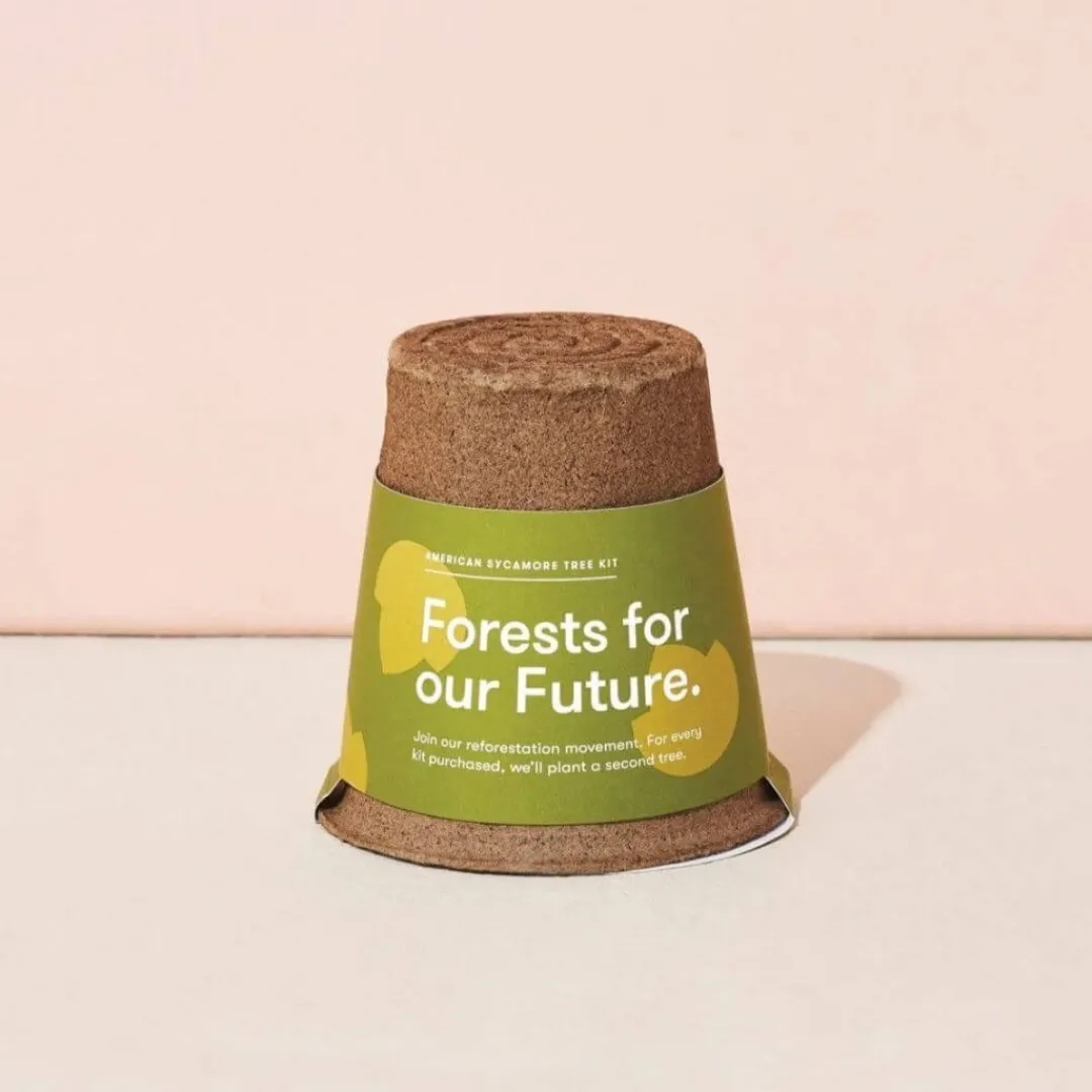 Modern Sprout Outdoor Toys|4 Years < One-For One Tree Kit