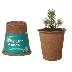 Modern Sprout Outdoor Toys|4 Years < One-For One Tree Kit