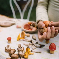 Grapat Wooden Toys|4 Years < Mushroom Grove Wooden Play Set