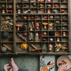 Grapat Wooden Toys|4 Years < Mushroom Grove Wooden Play Set