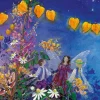 Toverlux Parents|Summer Nature Table < Night Light Transparency Set - Little Fairy Can't Sleep