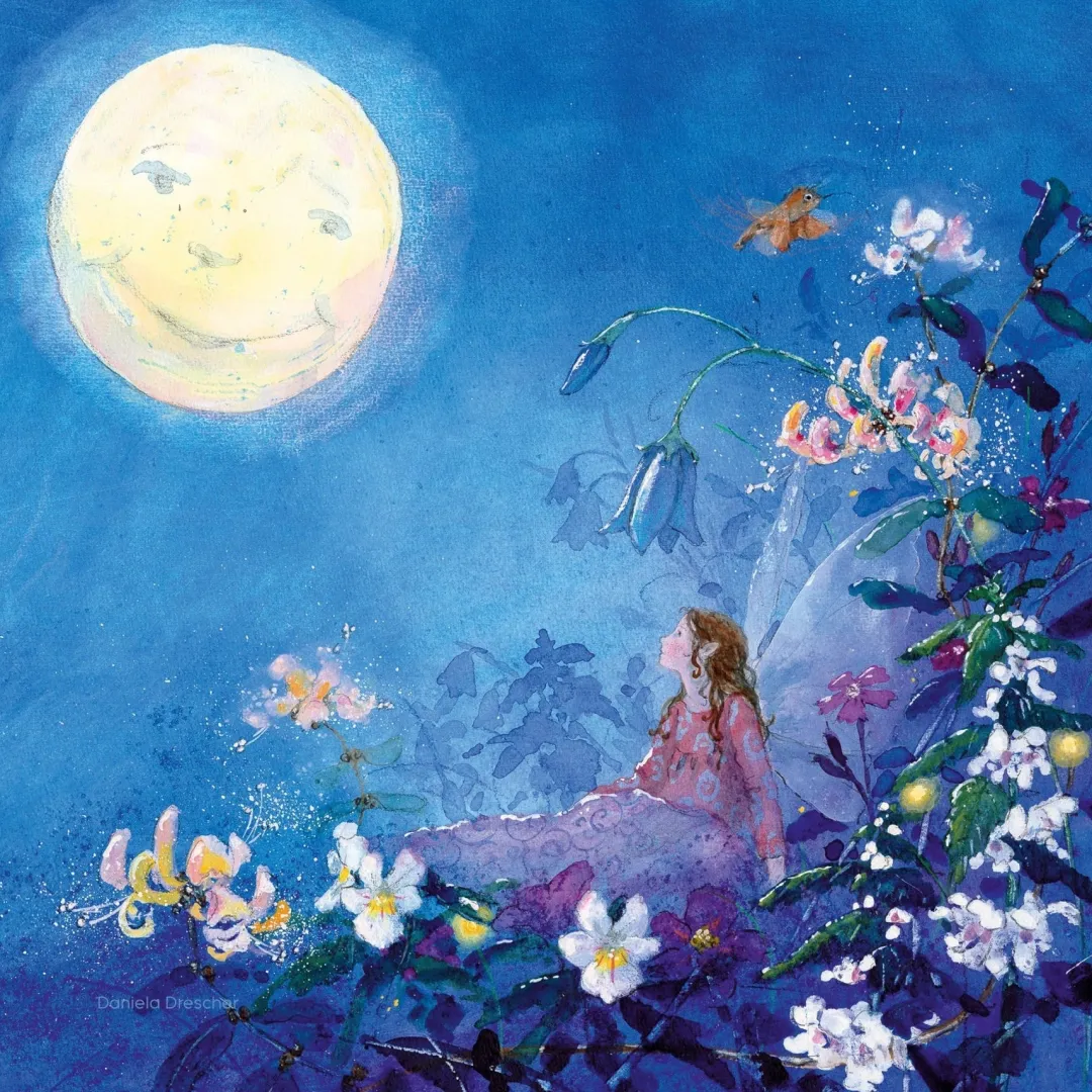 Toverlux Parents|Summer Nature Table < Night Light Transparency Set - Little Fairy Can't Sleep