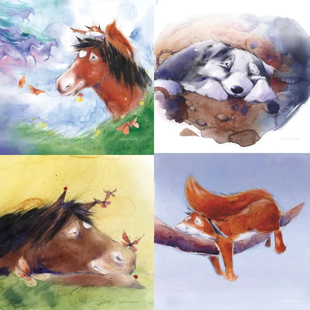 Toverlux 4 Years|3 Years < Night Light Transparency Set - Hrokur Storylux and the Sky Riders