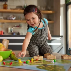 HABA Games|4 Years < Orchard Game