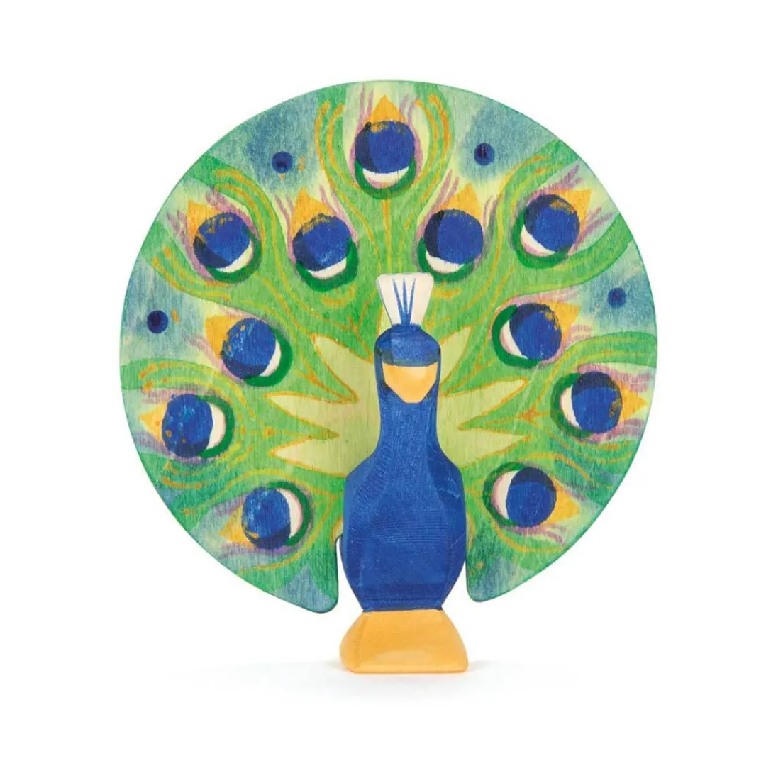Ostheimer 6 Years|4 Years < Peacock, Open