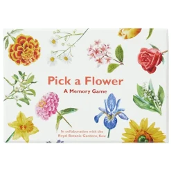 LK Publishing Games|4 Years < Pick a Flower Memory Card Game