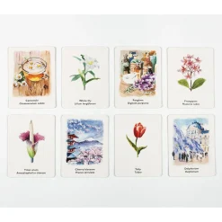 LK Publishing Games|4 Years < Pick a Flower Memory Card Game