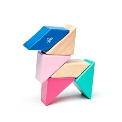 Tegu 12-24 Months|Wooden Toys < Pocket Pouch Prism Wooden Magnetic Blocks - Blossom