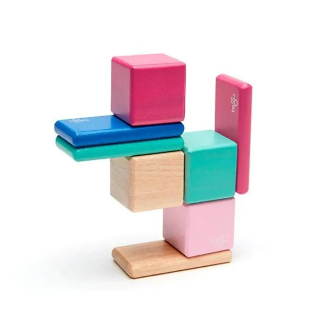 Tegu 12-24 Months|Wooden Toys < Pocket Pouch Wooden Magnetic Blocks - Blossom