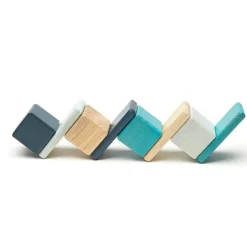 Tegu 12-24 Months|Wooden Toys < Pocket Pouch Wooden Magnetic Blocks - Blues