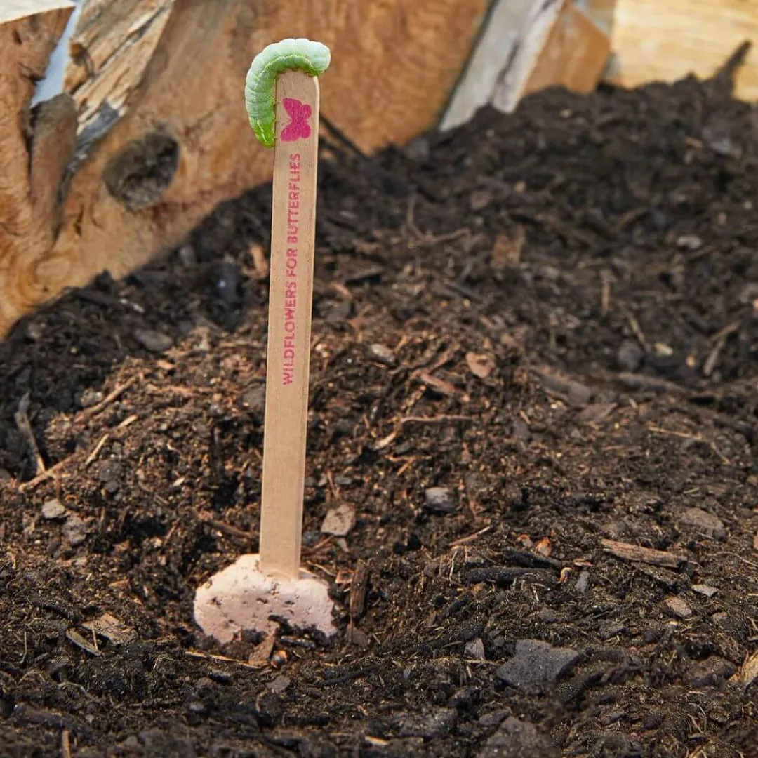 Modern Sprout 4 Years|3 Years < Pollinator Seed Pop