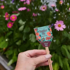 Modern Sprout 4 Years|3 Years < Pollinator Seed Pop