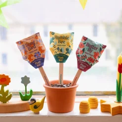 Modern Sprout Outdoor Toys|4 Years < Pollinator Seed Pops - Set of Three