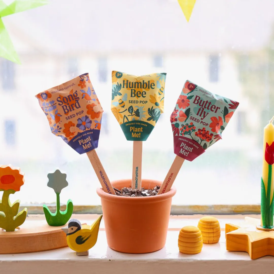 Modern Sprout Outdoor Toys|4 Years < Pollinator Seed Pops - Set of Three