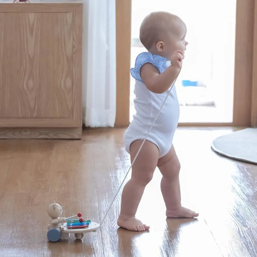 PlanToys USA 12-24 Months|Baby Walkers & Pull Toys < Pull Along Musical Bear