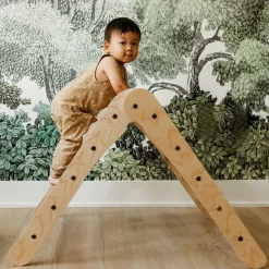 Bella Luna Toys 12-24 Months|Wooden Toys < Rainbow Climbing Triangle