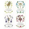 Penguin Random House Books|Fairies & Gnomes < Set of Four Seasonal Flower Fairy Books by Cicely Mary Barker