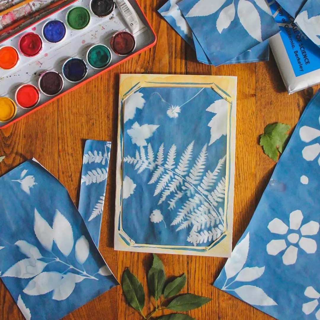 Lawrence Hall of Science Outdoor Toys|Summer Nature Table < Sunprint Kit