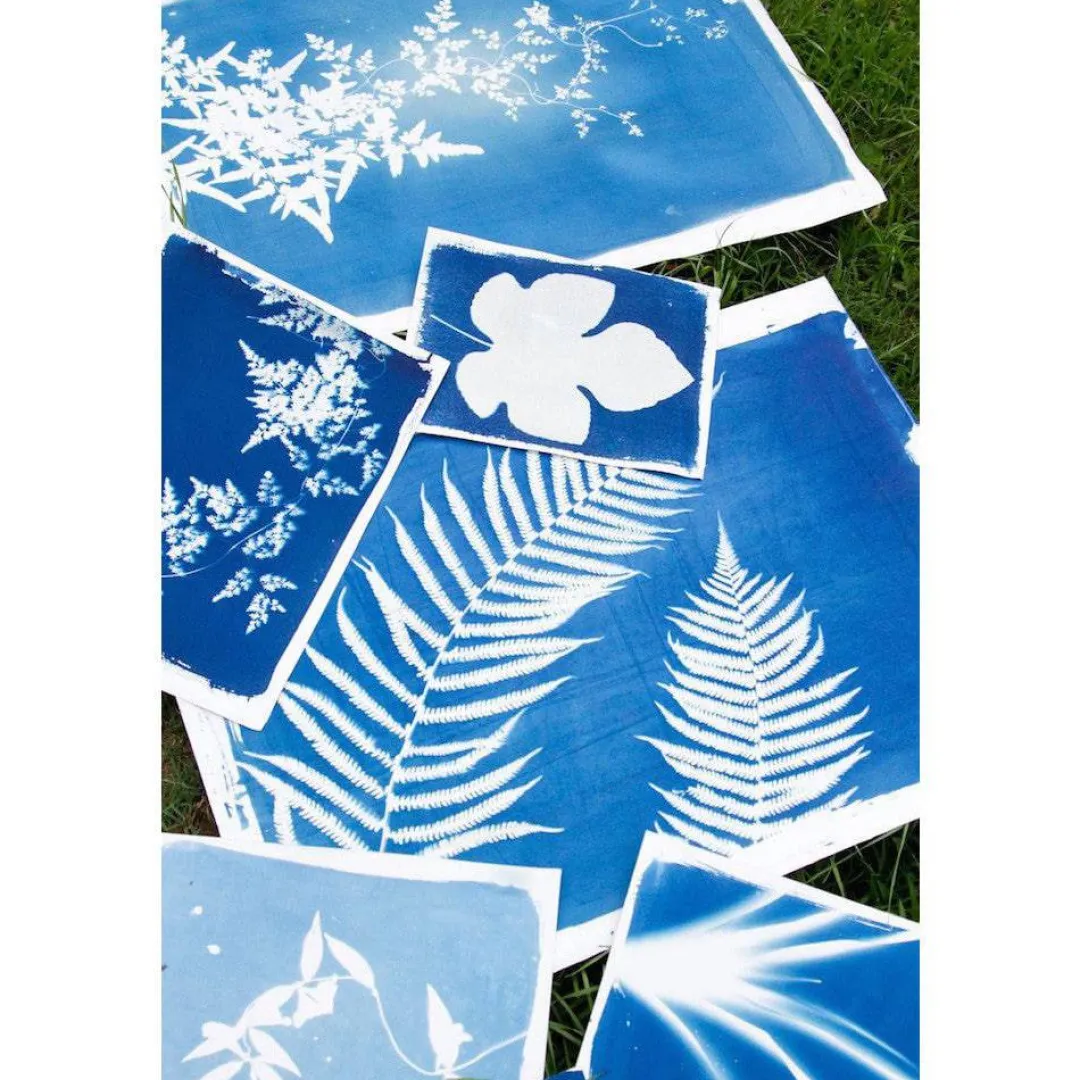 Lawrence Hall of Science Outdoor Toys|Summer Nature Table < Sunprint Kit