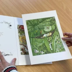 Floris Books Books|4 Years < The Art of Elsa Beskow: 20 Pull-Out Frameable Prints