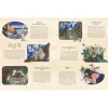 LK Publishing 6 Years|Fairies & Gnomes < The Fairy Atlas
