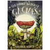 Penguin Random House 6 Years|4 Years < The Hidden World of Gnomes