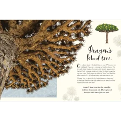 Penguin Random House Books|Montessori Inspired < The Wonders of Nature