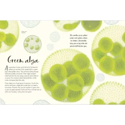 Penguin Random House Books|Montessori Inspired < The Wonders of Nature