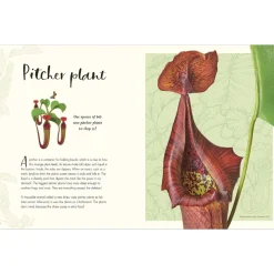 Penguin Random House Books|Montessori Inspired < The Wonders of Nature