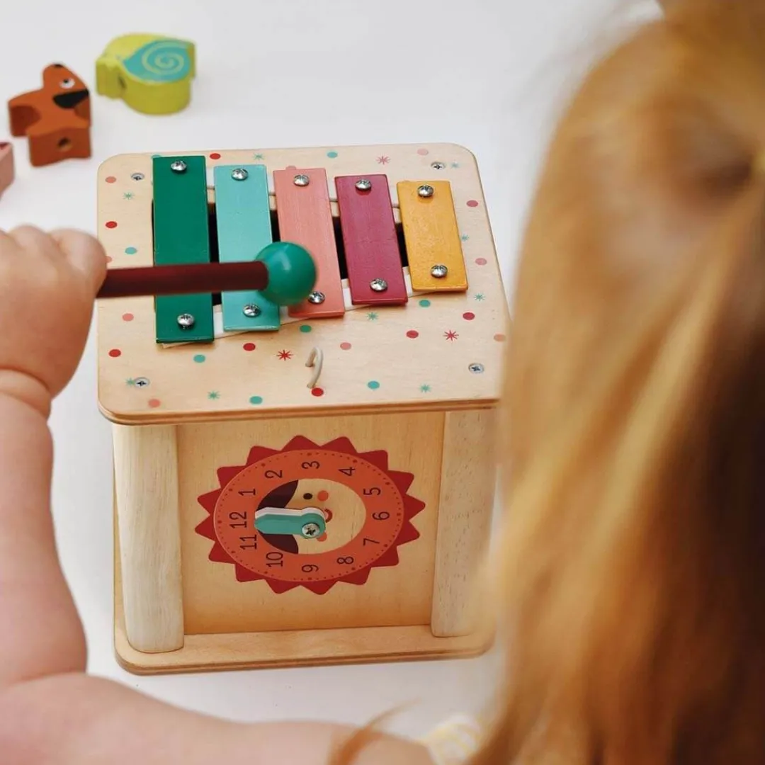 Mentari 12-24 Months|Early Learning < Toddler Activity Cube
