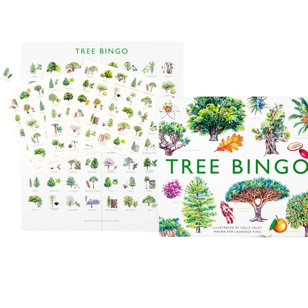 LK Publishing Stem Toys|Stem Toys < Tree Bingo Game