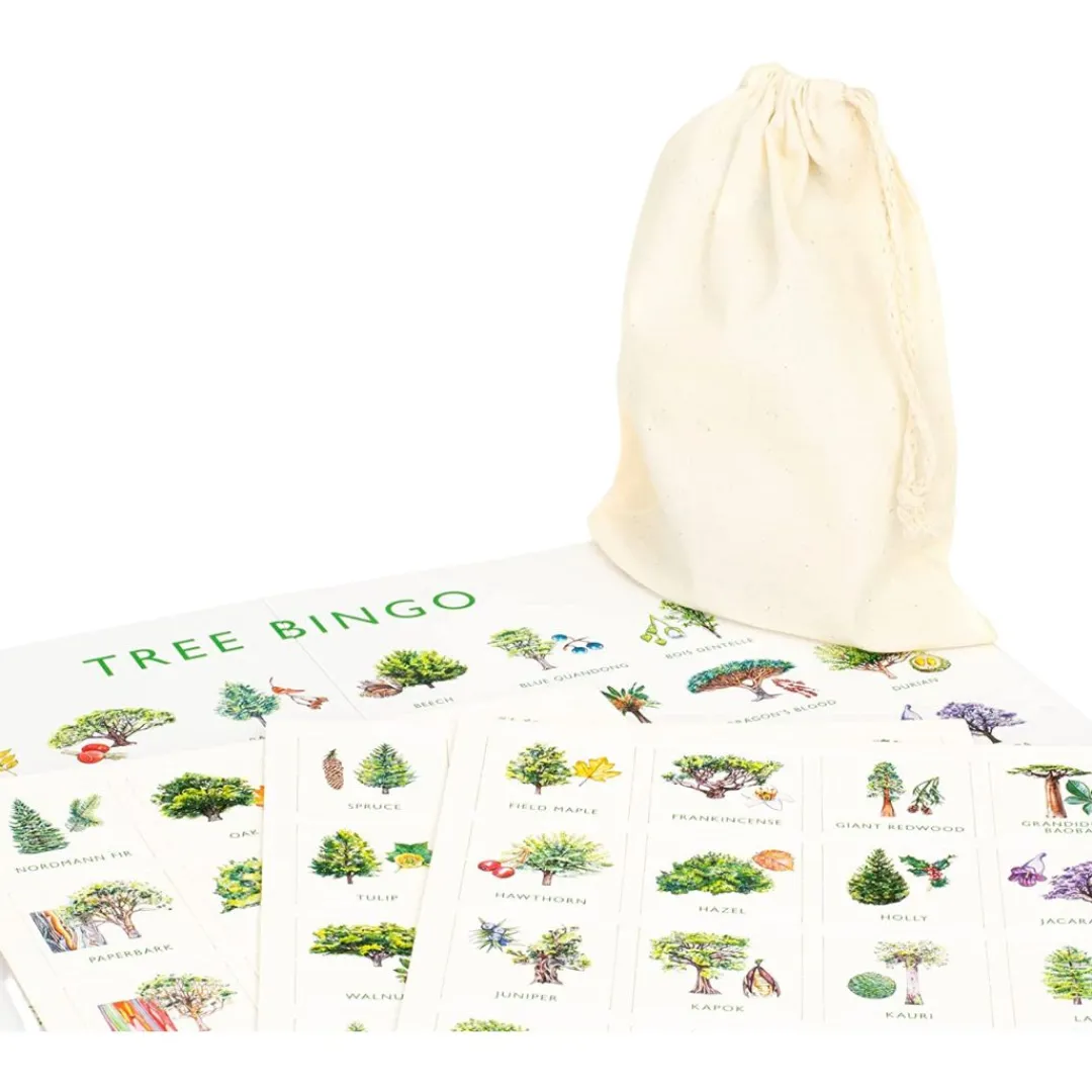 LK Publishing Stem Toys|Stem Toys < Tree Bingo Game