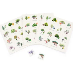 LK Publishing Stem Toys|Stem Toys < Tree Bingo Game